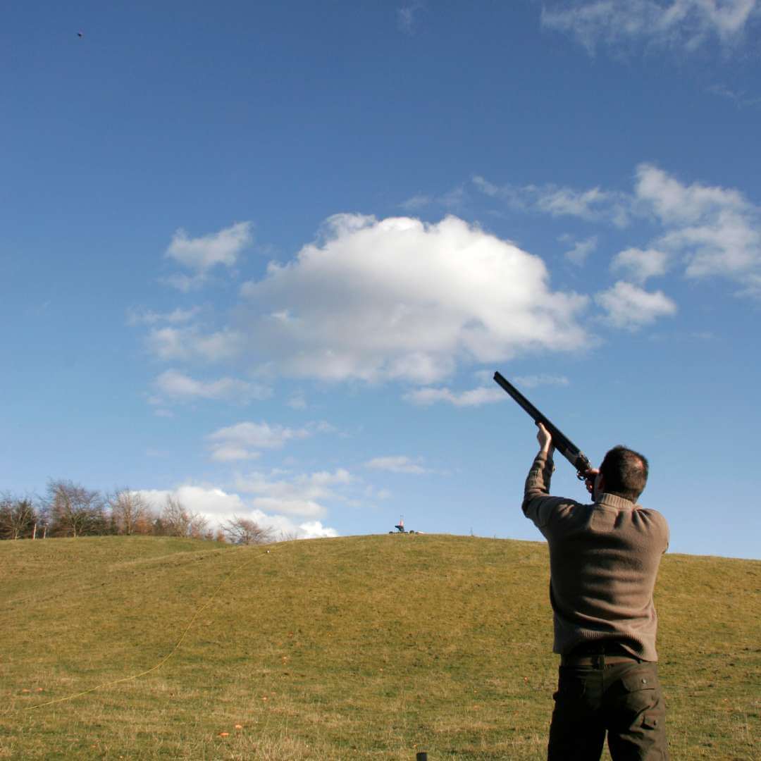 What is clay pigeon shooting