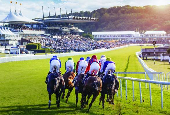 Equestrian Events at Goodwood: Celebrating Horse and Heritage